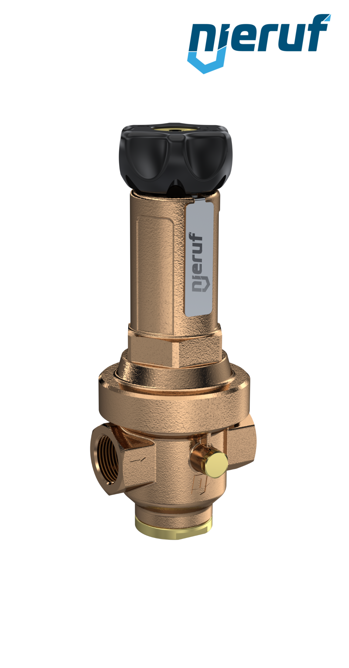 Precyzyjny regulator ciśnienia z wtórnym odpowietrzeniem 1" cal DM14 brąz FKM 0.5 - 15 bar